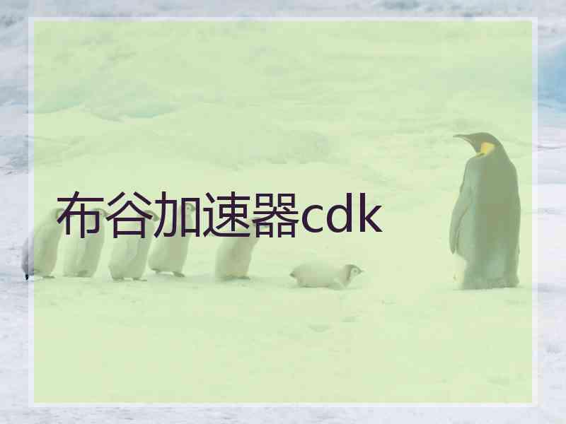 布谷加速器cdk