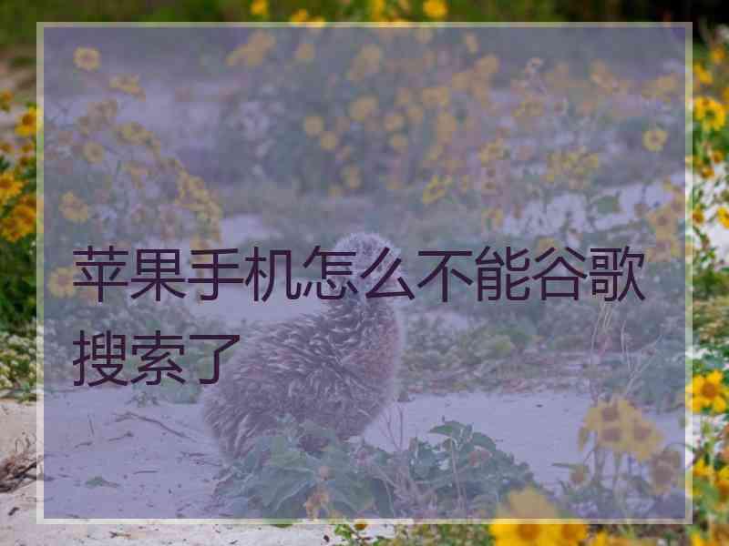 苹果手机怎么不能谷歌搜索了