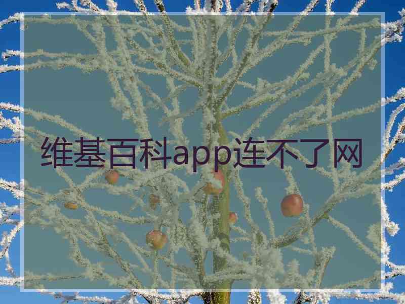 维基百科app连不了网