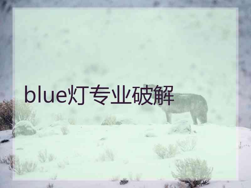 blue灯专业破解