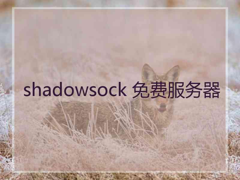 shadowsock 免费服务器