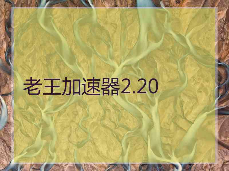 老王加速器2.20