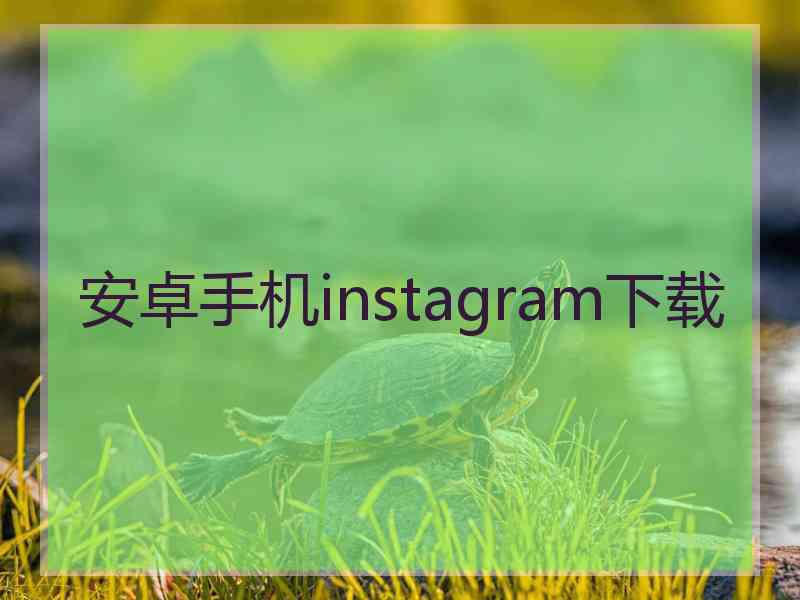 安卓手机instagram下载