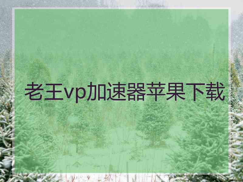 老王vp加速器苹果下载