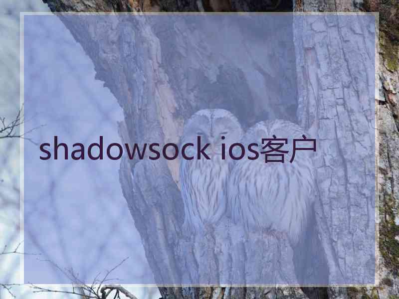 shadowsock ios客户