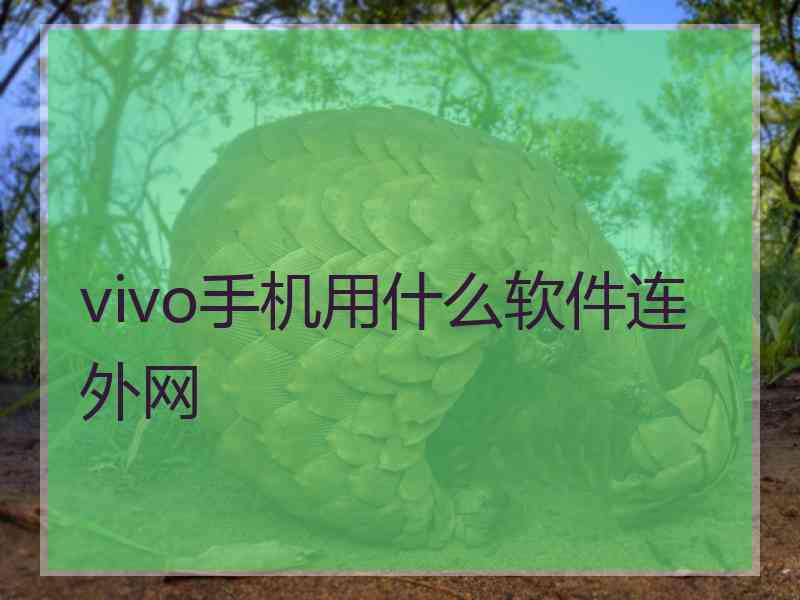 vivo手机用什么软件连外网