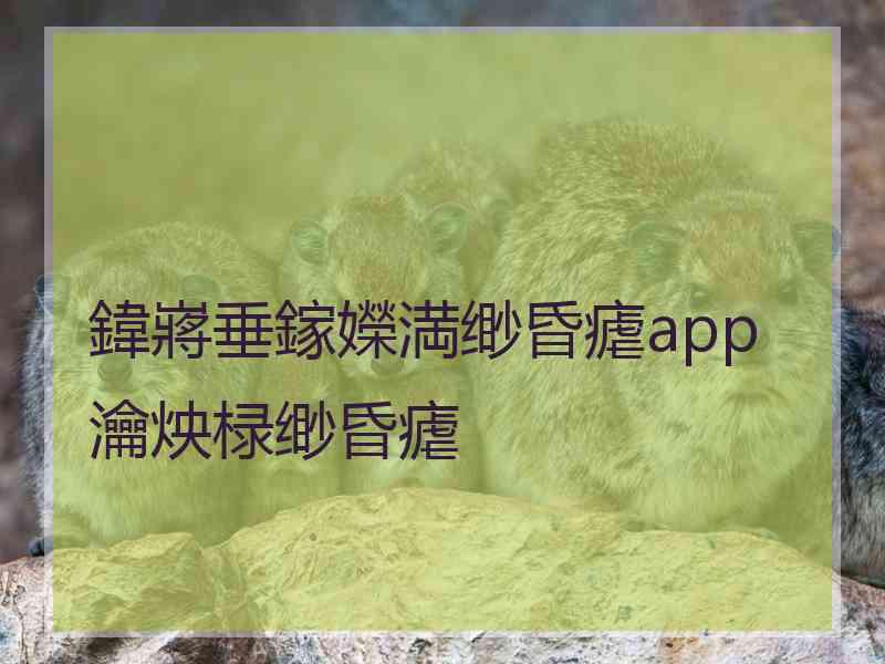 鍏嶈垂鎵嬫満缈昏瘧app瀹炴椂缈昏瘧