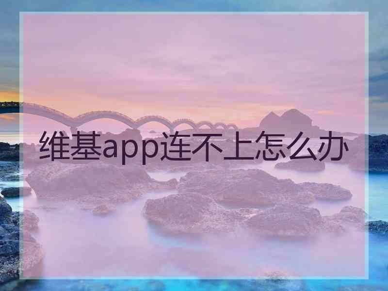 维基app连不上怎么办