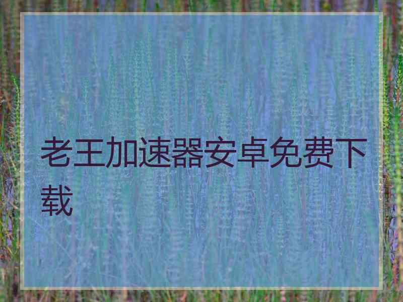 老王加速器安卓免费下载