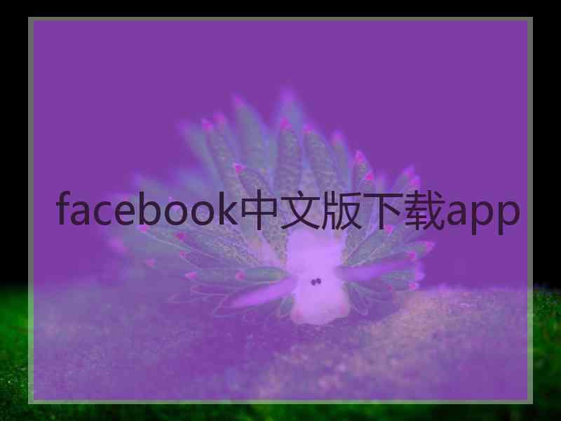 facebook中文版下载app