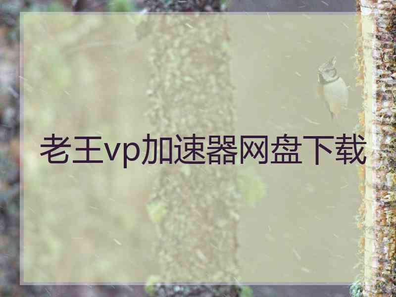 老王vp加速器网盘下载