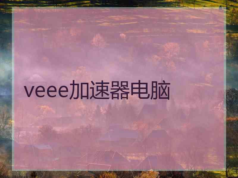 veee加速器电脑