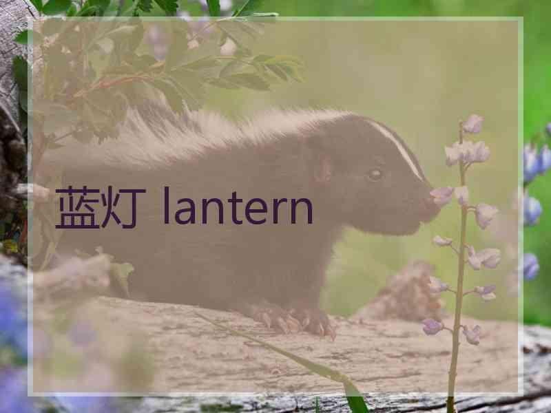 蓝灯 lantern