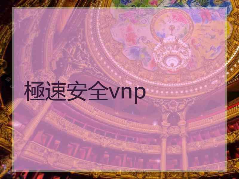 極速安全vnp