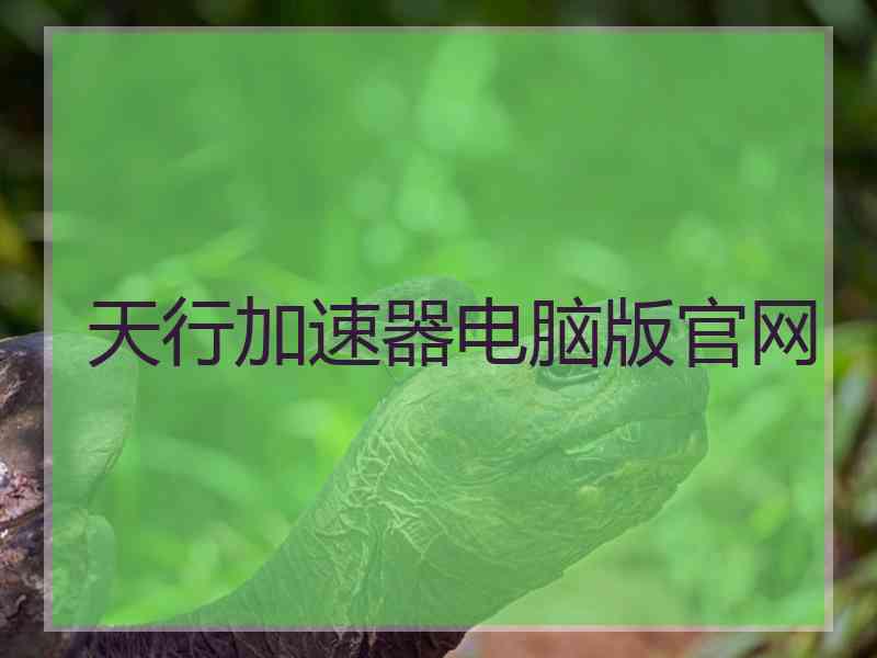 天行加速器电脑版官网