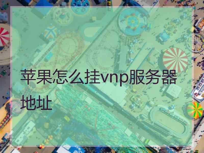 苹果怎么挂vnp服务器地址