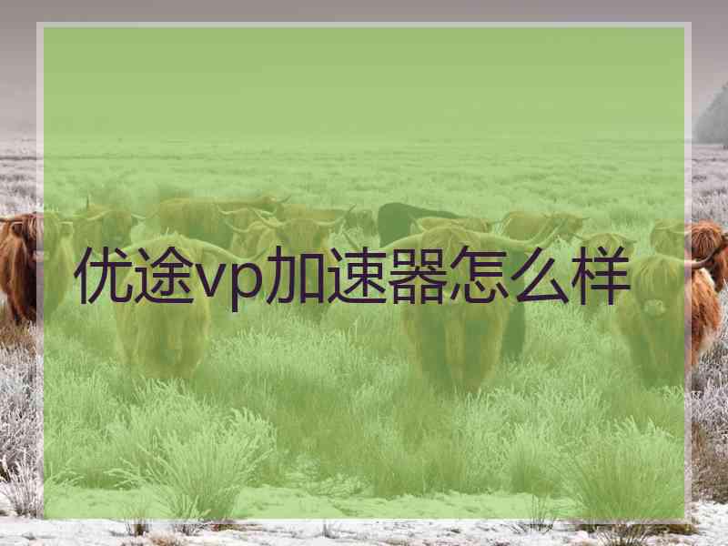 优途vp加速器怎么样