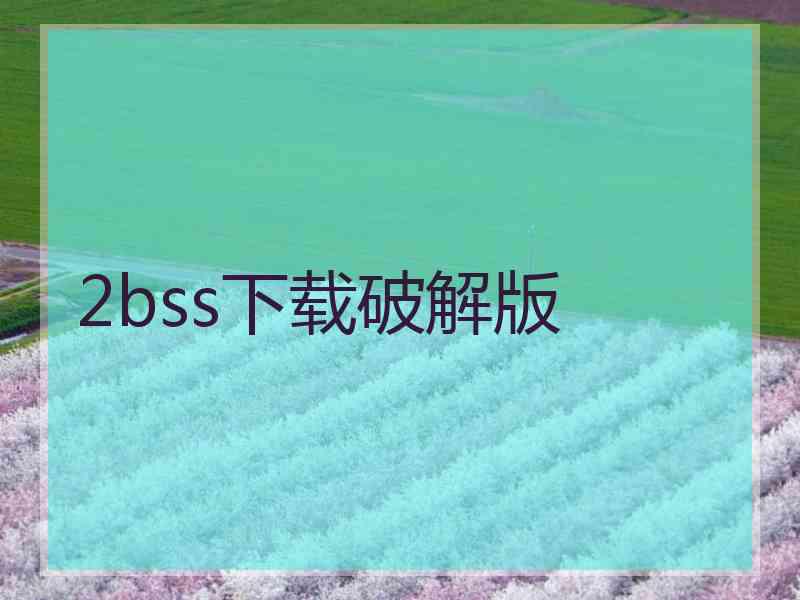 2bss下载破解版