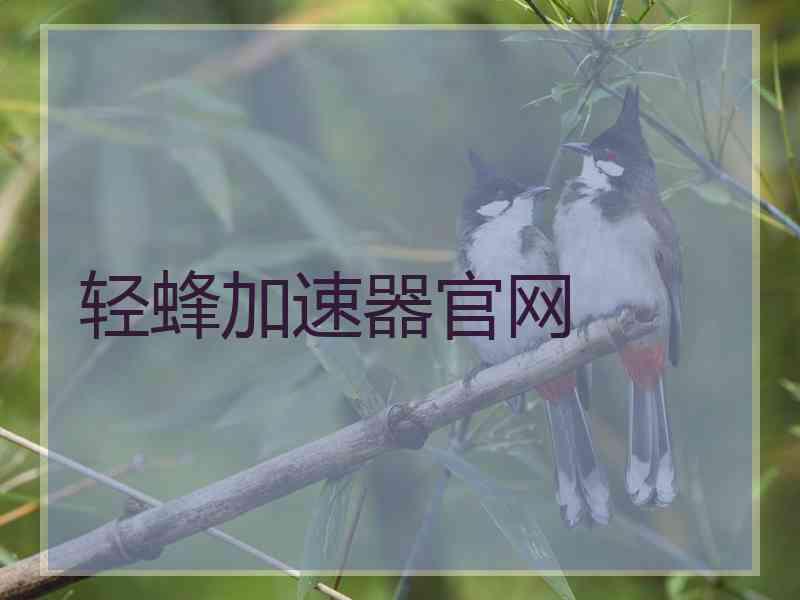 轻蜂加速器官网