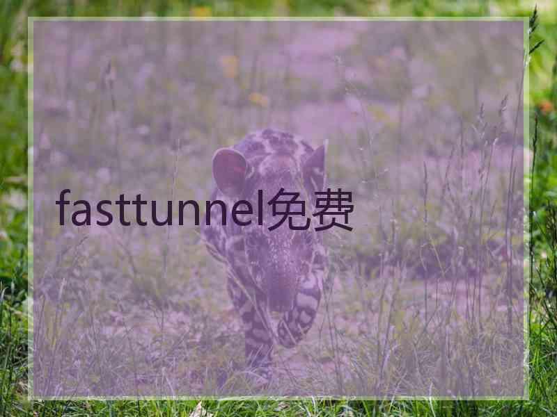 fasttunnel免费