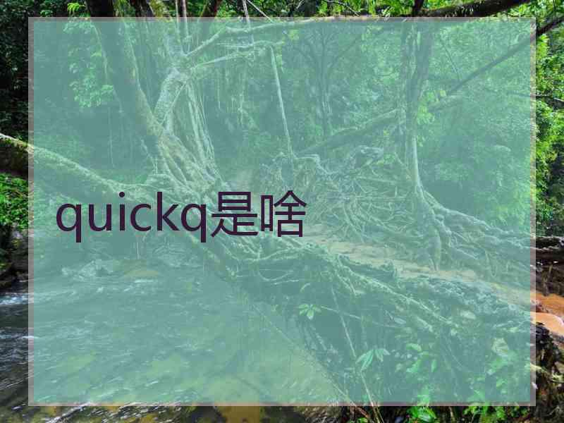 quickq是啥