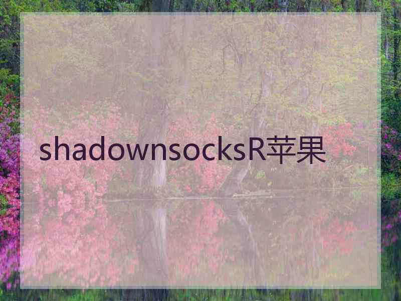 shadownsocksR苹果