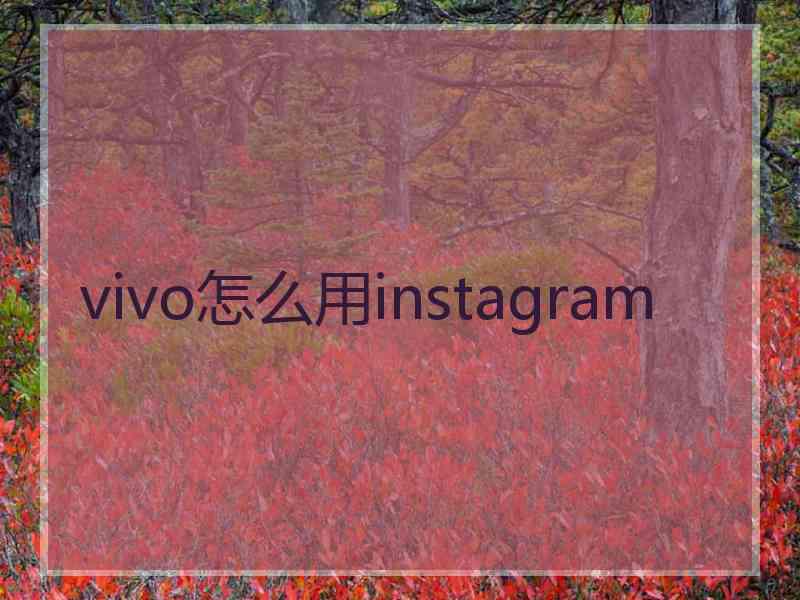 vivo怎么用instagram