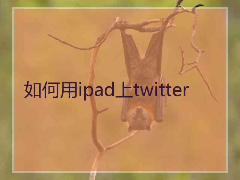 如何用ipad上twitter