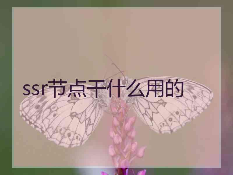 ssr节点干什么用的