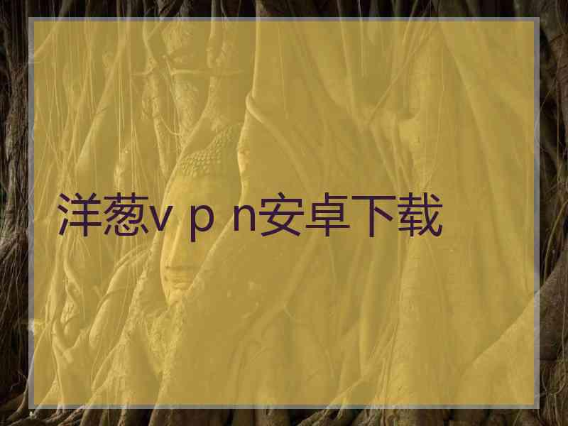 洋葱v p n安卓下载