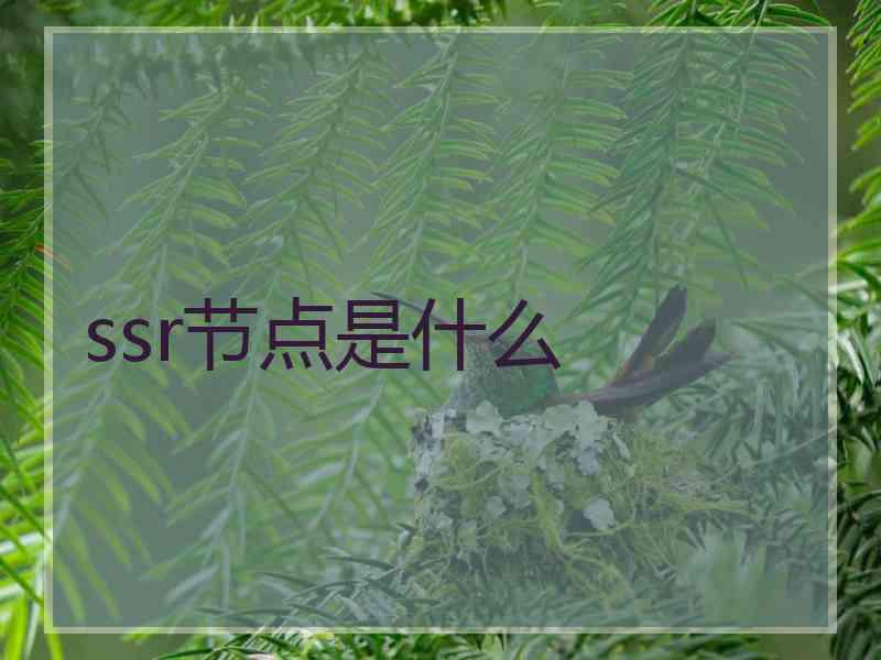 ssr节点是什么