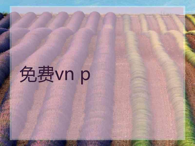 免费vn p