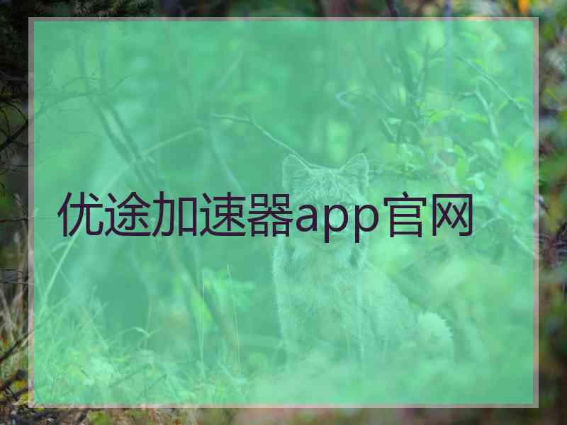 优途加速器app官网