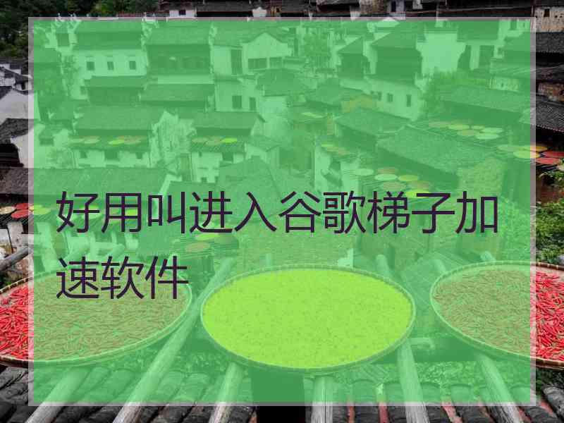 好用叫进入谷歌梯子加速软件