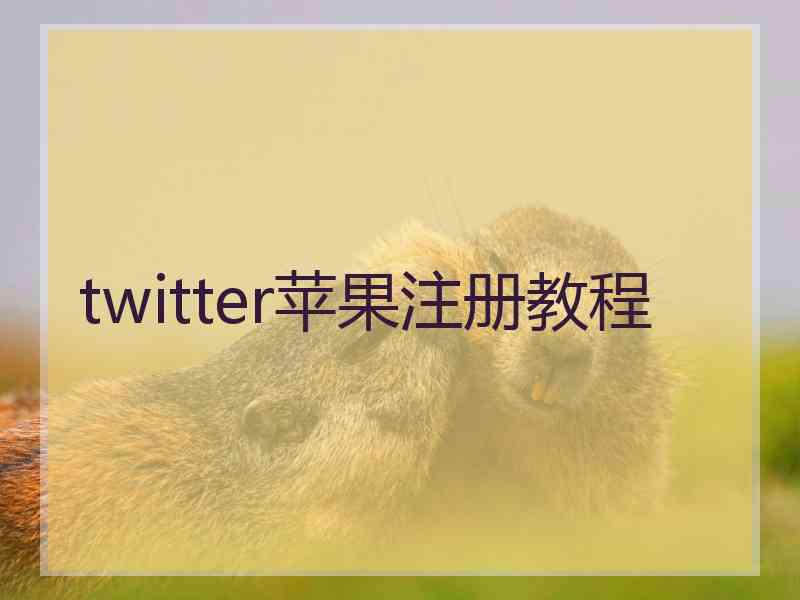 twitter苹果注册教程