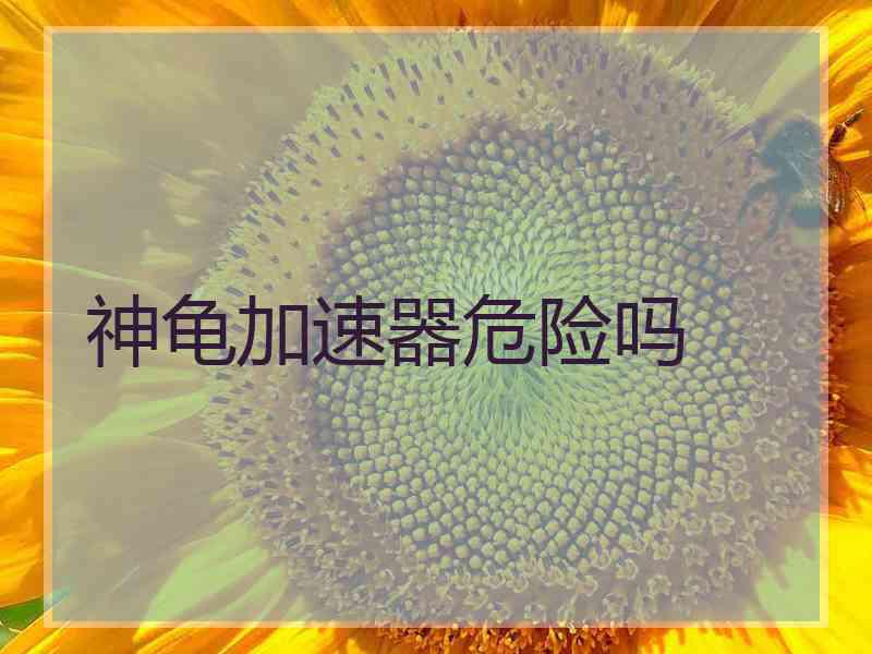 神龟加速器危险吗