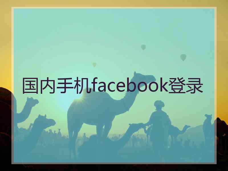 国内手机facebook登录