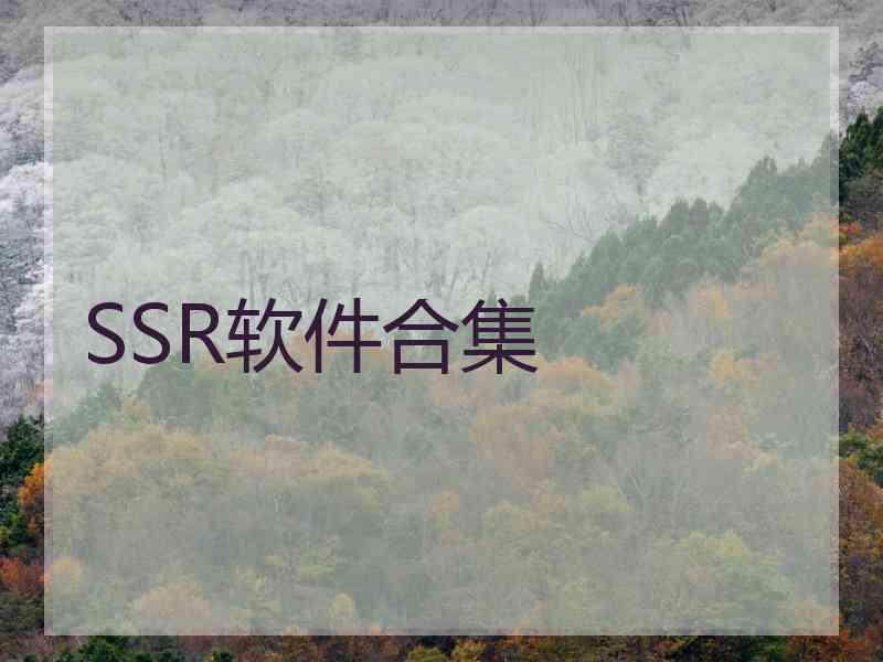 SSR软件合集