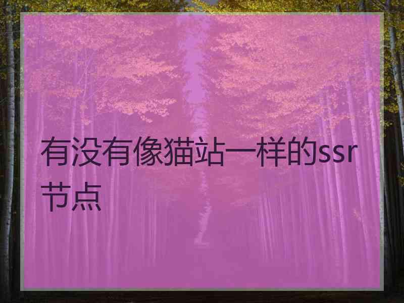 有没有像猫站一样的ssr节点