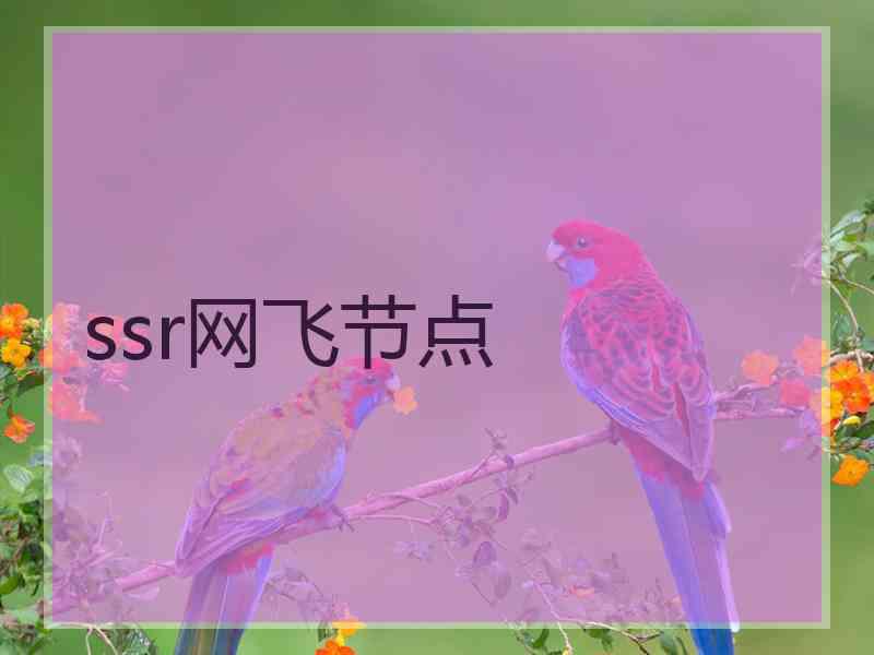 ssr网飞节点