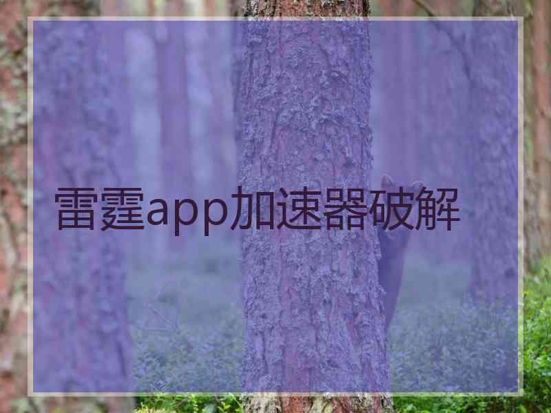 雷霆app加速器破解