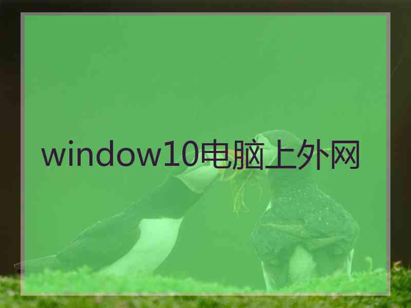 window10电脑上外网