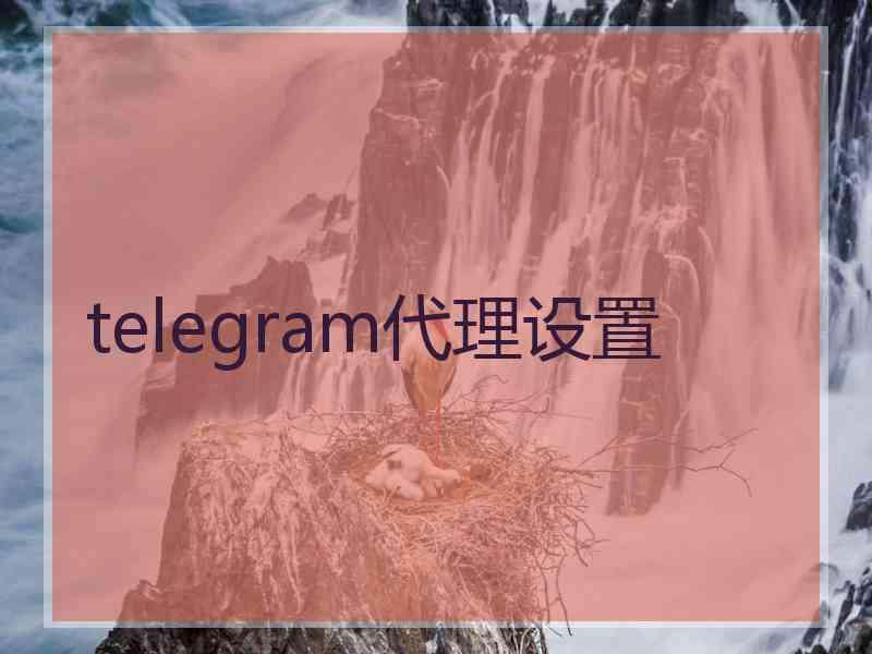 telegram代理设置