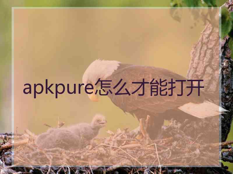 apkpure怎么才能打开