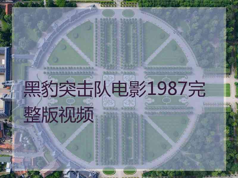 黑豹突击队电影1987完整版视频