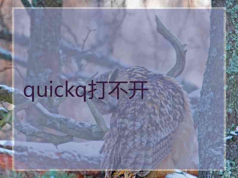 quickq打不开