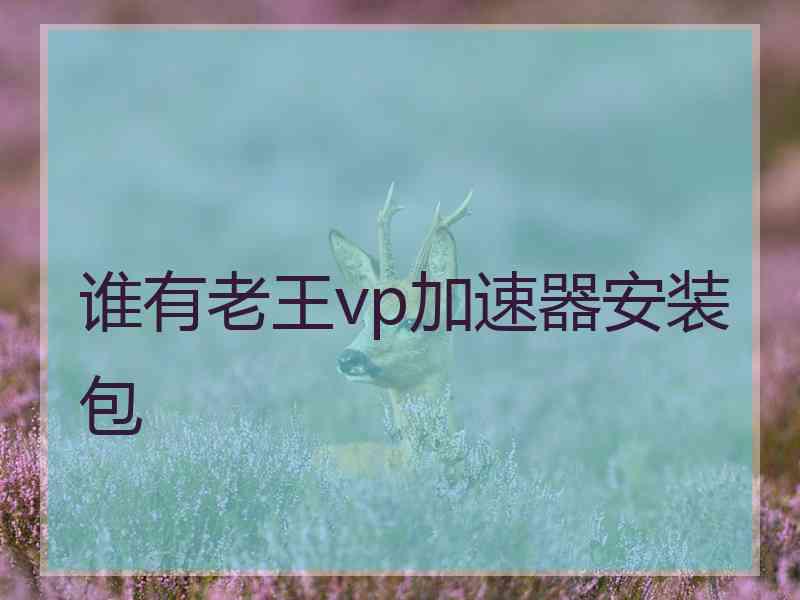 谁有老王vp加速器安装包