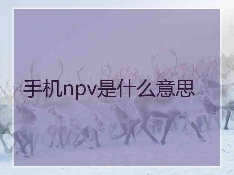 手机npv是什么意思