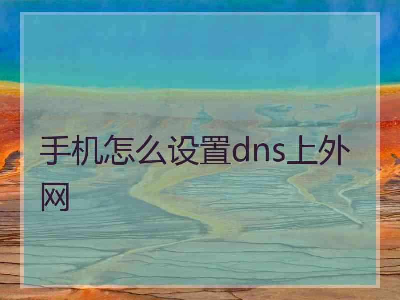 手机怎么设置dns上外网