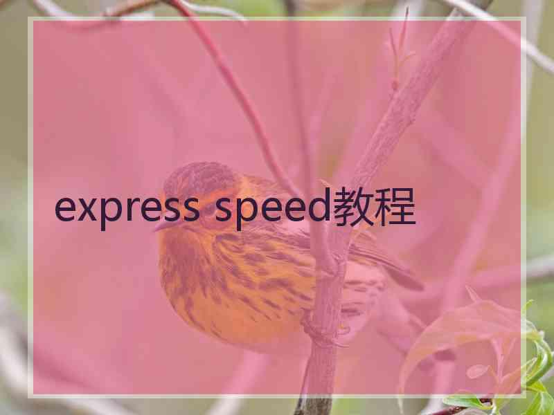 express speed教程